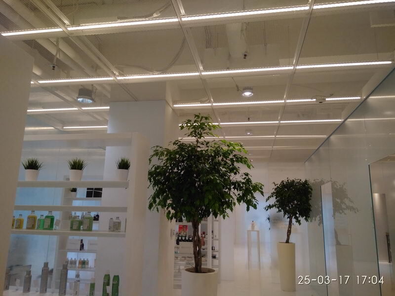 Потолок сетка заказать